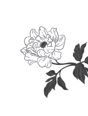 Image is not available